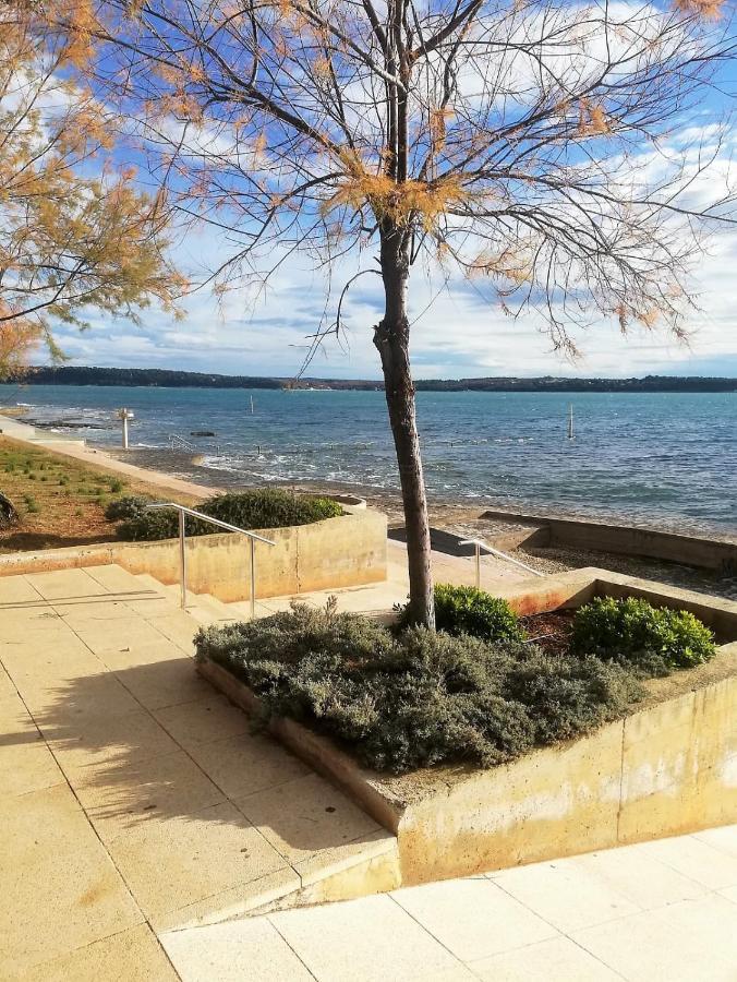 Apartment Jana Novigrad Istria Eksteriør billede