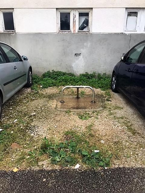 Apartment Jana Novigrad Istria Eksteriør billede